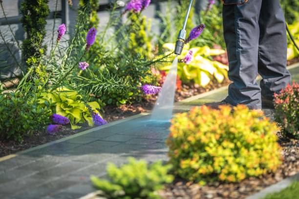 Best Post-Construction Pressure Washing  in Sun City Center, FL