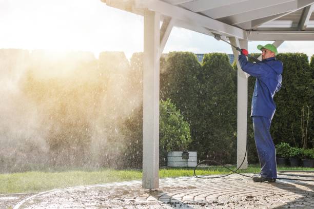 Best Animal Enclosure Cleaning  in Sun City Center, FL